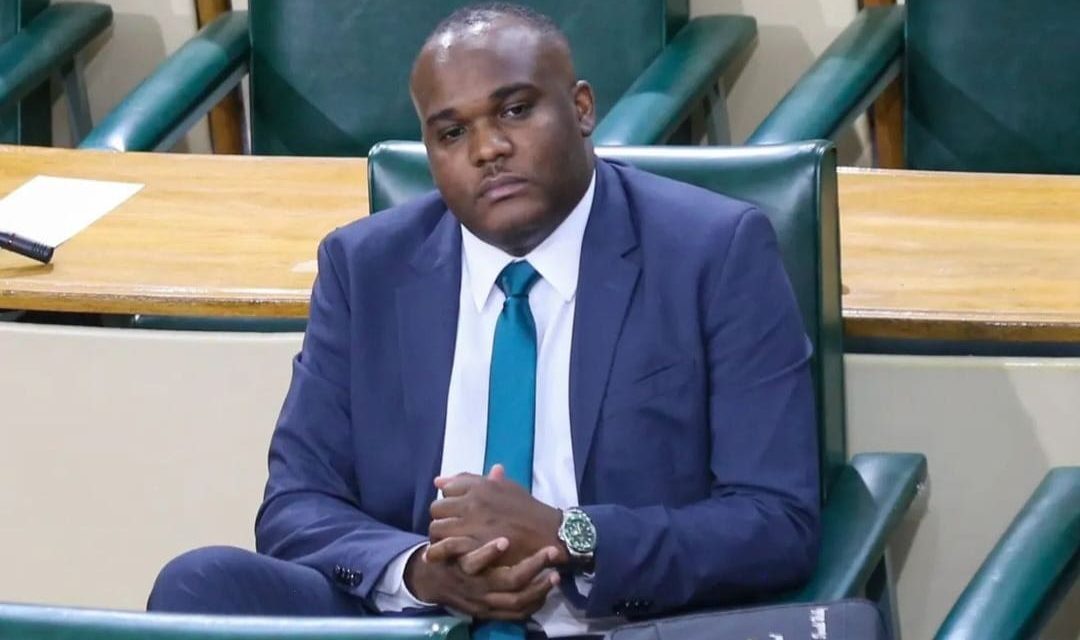 Gov’t Senator Dismisses PNP Claim of Cancelled Parliamentary Sitting