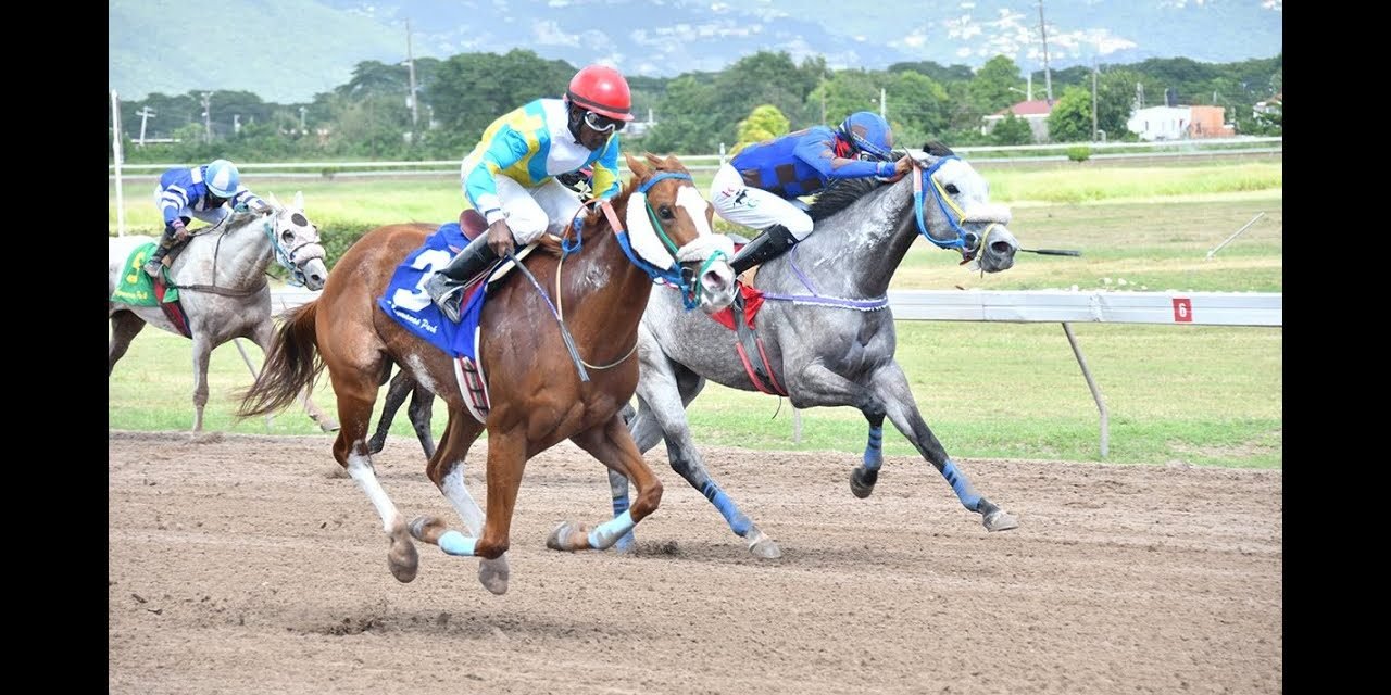 Jamaica Racing Commission to Temporarily Suspend Application of Rule 44