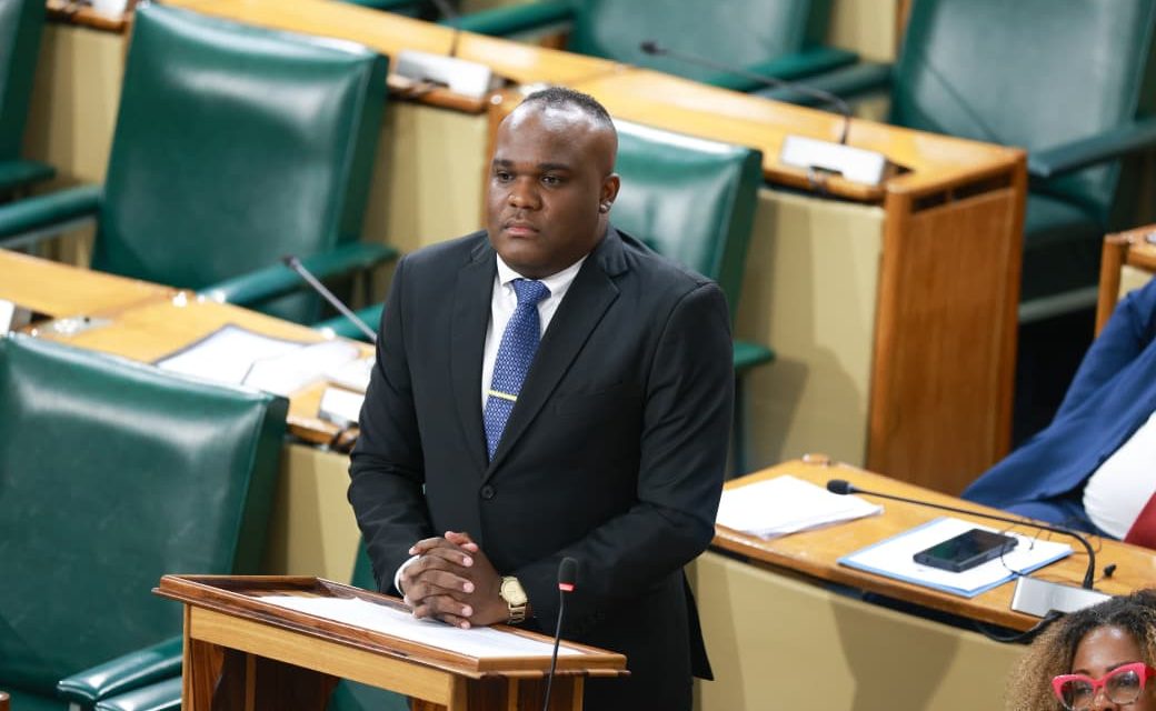 JLP says PNP criticism of Coopers Pen tax issue disingenuous