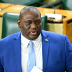 Senator Marlon Morgan: PNP hypocritical on Coopers Pen