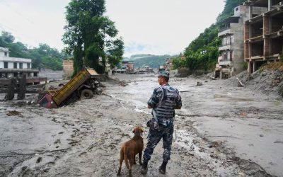 Death toll from Tibet-Nepal flash flood climbs to 538