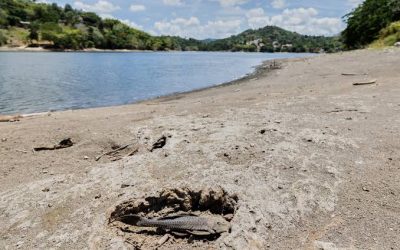 US announces drought disaster in Puerto Rico