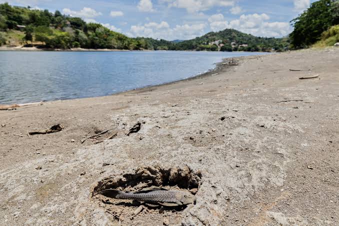 US announces drought disaster in Puerto Rico