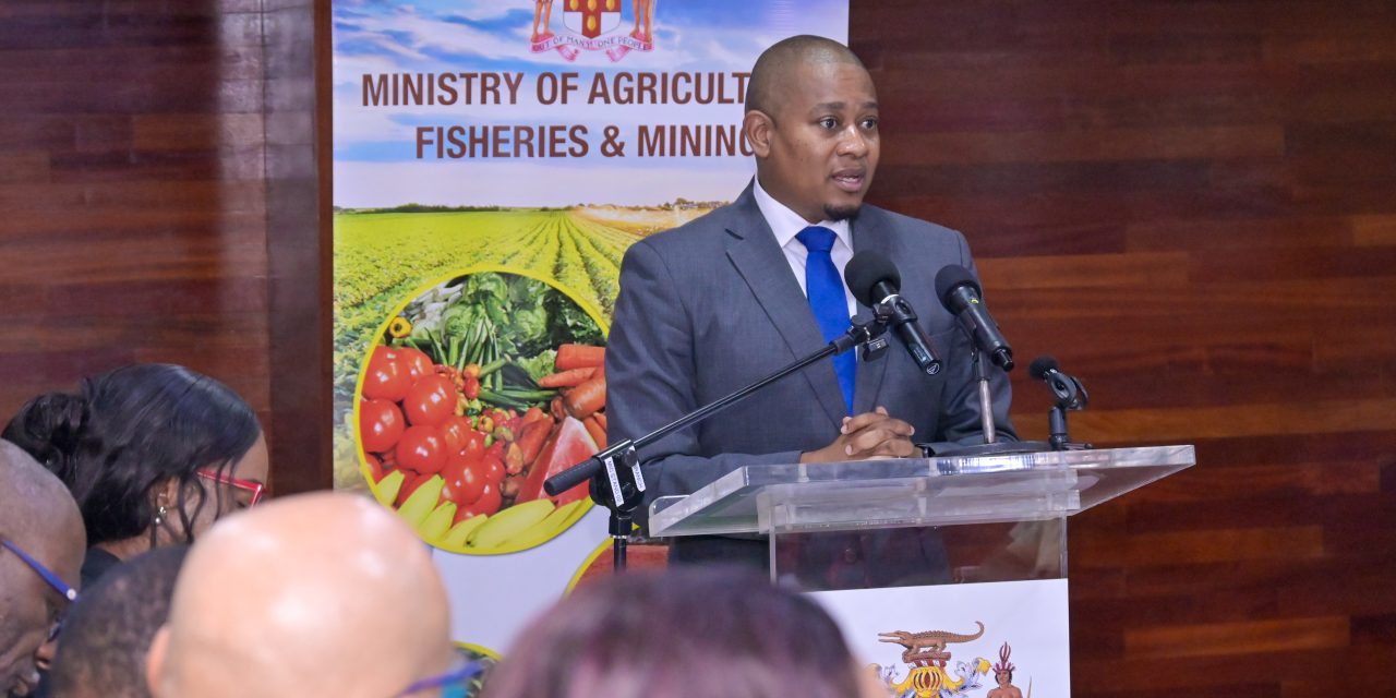 Farmers, fisherfolk, micro-businesses to benefit from $192m Melissa cash grant